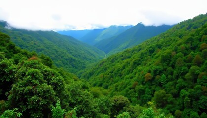 Fototapeta premium Vast verdant valley under a clear sky