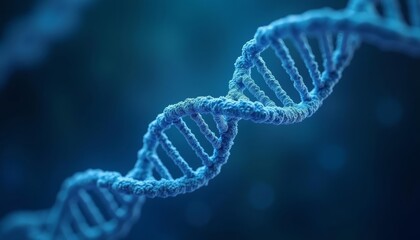  Exploring the blueprint of life  DNA