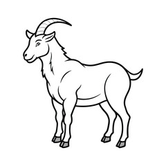 Obraz premium goat on white background