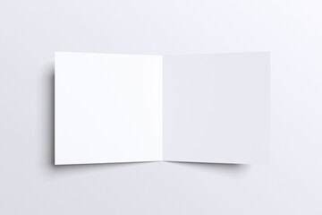Square Brochure Blank