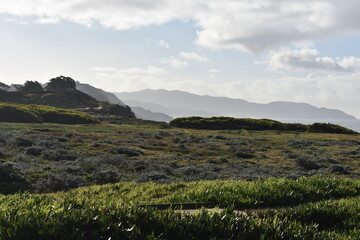 Caminata en la bahía de San Francisco