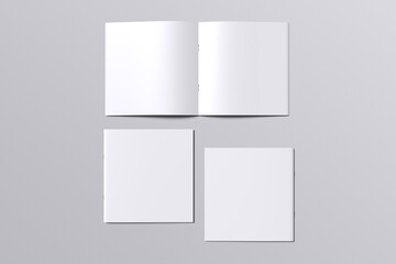 Square Brochure Blank