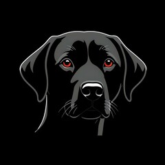 black labrador retriever