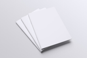 A4 Brochure Blank