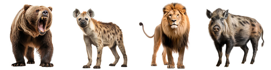 Obraz premium Group of wild animals, isolated on transparent background, cut out
