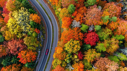 Aerial view of a car in forest asphalt road in autumn. healthy environment road trip travel.