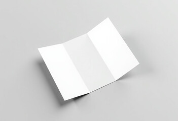 Blank brochure mockup Design Template