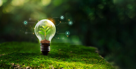 Globe bulb and renewable energy concept of sustainable development environmental protection achieve...