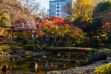 日本の風景・秋　東京都文京区　紅葉の小石川後楽園