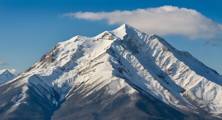 snow covered mountains
