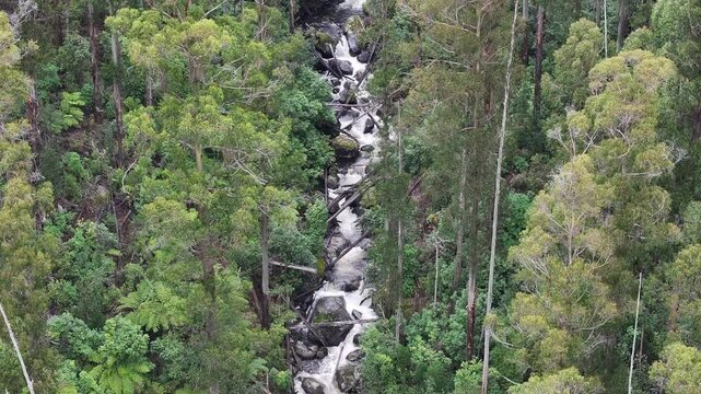 Aerial footage of Rubicon Victoria Australia and surrounds