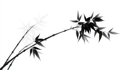 Black and White Bamboo Branch Illustration