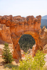 landscape in bryce canyon national park