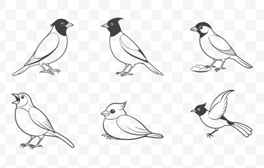 Bulbul Bird Line Art Vector Set Detailed Illustrations of Bulbul Birds in Minimalist Style for Artistic and Design Use