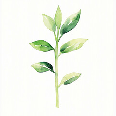 Obraz premium Elegant Watercolor Painting of a Minimalistic Plant in White Background