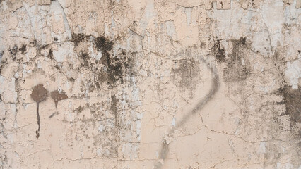 grunge wall texture, dirty moldy wall