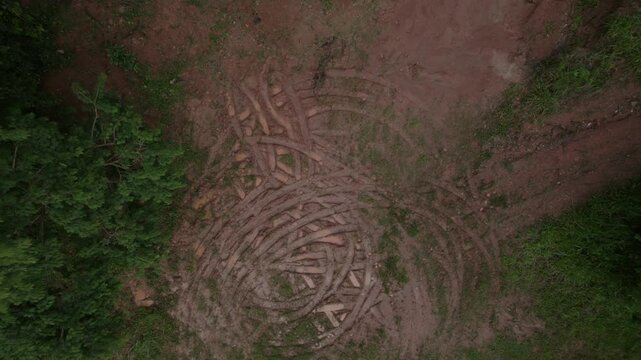 Muddy tire tracks in middle of dense forest aerial South America - Illegal operation - Aerial view ascending