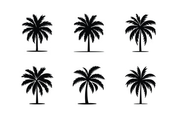 Black Palm Tree Vector Set. Black Silhouettes on White Background