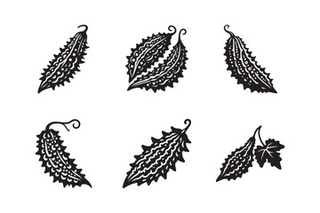 Bitter Gourd icon set vector Illustration. Fresh bitter gourd icon silhouette white background.