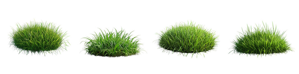 3D of a grass patch in a minimalist style, with a transparent background.