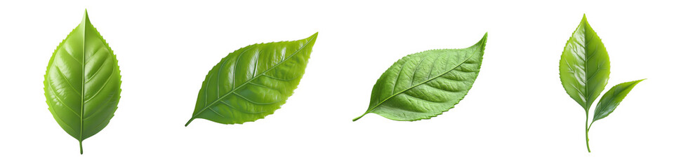 Obraz premium 3D of soft green tea leaf with transparent background in minimalist style.
