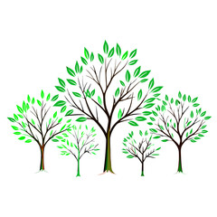 Obraz premium A simple Stylized Green Trees Icon on Transparent Background, Vector