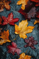 Obraz premium Bunch of leaves on ground