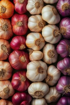 Close up of garlic