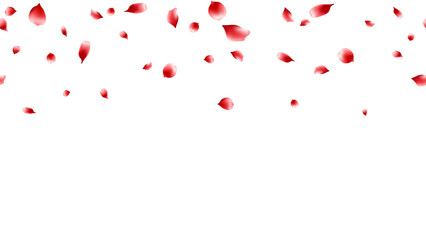 Red rose petals flying aroma, romance and love banner background