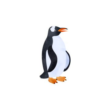 360_F_972118638_pxKSjUptWOP685