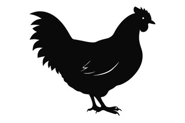 Chicken icon vector illustration. Black Chicken Silhouettes in Various Poses - Vector Farm Animal Illustrations.