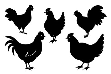 Chicken icon vector illustration. Black Chicken Silhouettes in Various Poses - Vector Farm Animal Illustrations.