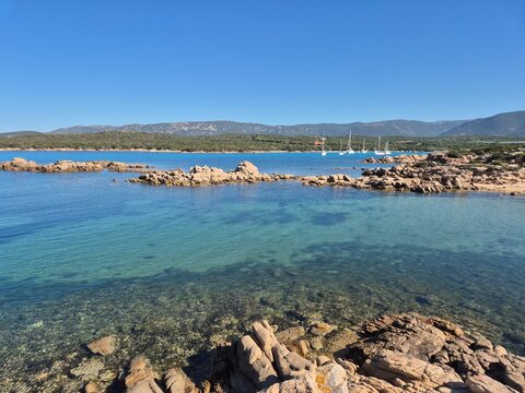 Sentier Littoral des Bruzzi, crosica, france