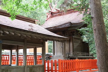 A Japanese shrine : the scene of a subordinate shrine in the precincts of Kashii-gu Shrine in Fukuoka City in Fukuoka Prefecture