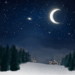 Naklejka premium Christmas snowy night landscape