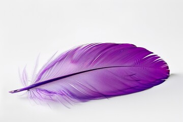 Purple feather on white background, lightweight