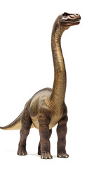 Fototapeta premium Brachiosaurus dinosaur isolated on white background