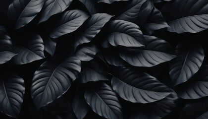 Fototapeta premium Black and White Abstract Texture of Fallen Leaves