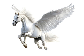 Realistic Illustration of white pegasus horse, phantasy animal isolated on white background
