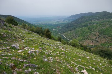 Rocky terrain in Gargano National Park, Italy, Europe.	