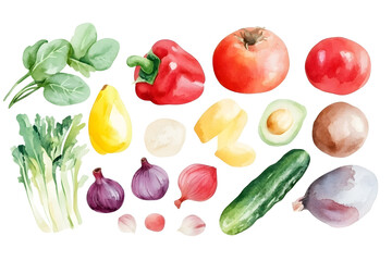 Watercolor vegetables set isolated on white background. Vegetarian diet food