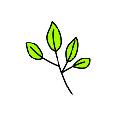 green tree with leaves