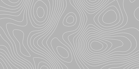 Topographic Wavy Line  Pattern Background. landscape Topo contour map on white background. Geographic mountain relief diagram line wave carve pattern. Contour abstract map relief land outline.