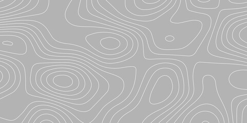 Topographic Wavy Line  Pattern Background. landscape Topo contour map on white background. Geographic mountain relief diagram line wave carve pattern. Contour abstract map relief land outline.