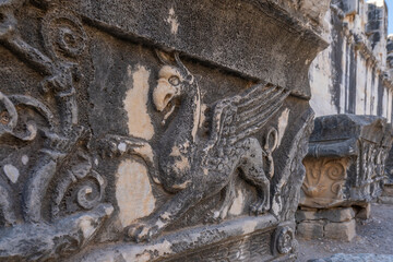 Turkey Aydin Province Didim District Didyma Apollon Temple Ruins Columns Worship and Prophecy Point and the Guardian of the Temple Medusa
