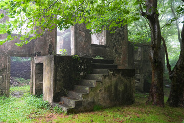 Verlassenes Haus im Tal von Pflanzen &uuml;berwachsen