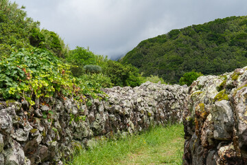 Steinmauer auf einem Wanderweg auf den Azoren, insel Flores