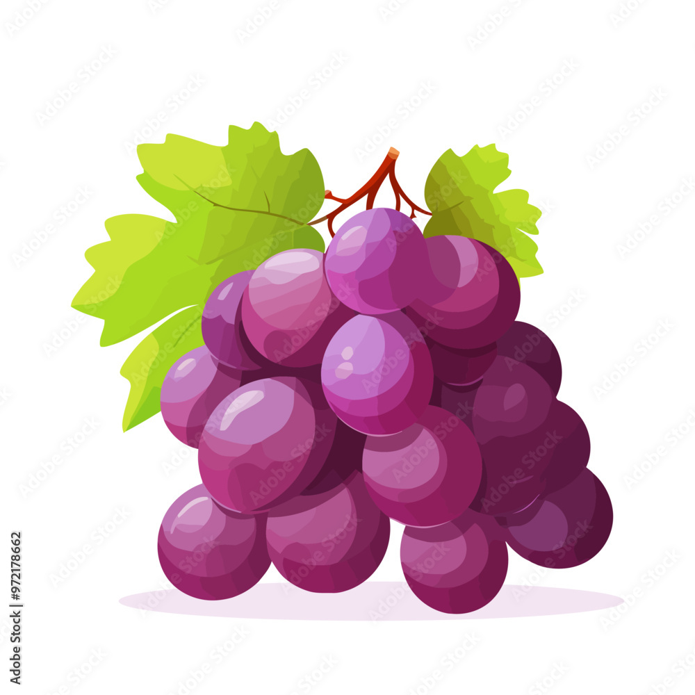 Aufkleber grape icon isolated. bunch of wine grapes with leaf. grape image in flat design. vector illustration