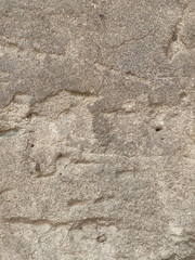 Vintage Exposed Wall Background