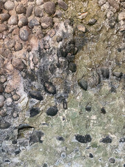 Textured Stone Wall with Natural Pebbles